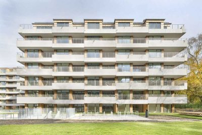 Immergrün - große 2 Zimmer im Erdgeschoss mit Terrasse