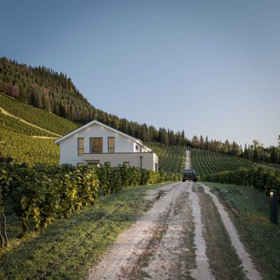 Bien-Zenker Hausprojekt auf attraktivem Grundstück - individuell realisierbar!