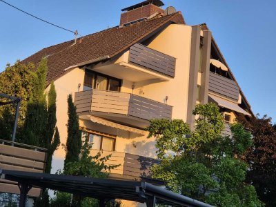 Entkernte 3-Zimmer-Erdgeschosswohnung mit Balkon in Hofheim