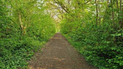 Moderne und helle Wohnung mit zwei Zimmern in Ammersbek-Lottbek.