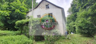Charmantes Anwesen mit Entwicklungspotenzial am Stadtrand – ca. 14.000 m² Grundstück