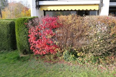 Gut geschnittene 2-Zimmer-Wohnung mit Terrasse