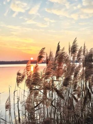 * Markkleeberg * NEUBAU * Wärmepumpe  A+ * Terrasse * SEE um die ECKE * Stellplatz *