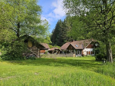 Sacherl (ehem. Mühle) in idyllischer Alleinlage samt Wald- und Wiesengrund