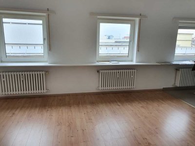 Vollständig renovierte 1-Zimmer-Wohnung mit EBK in Schulstraße, Ludwigshafen