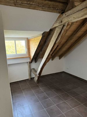 Denkmalschutzobjekt - saniert - 2 Zimmer Wohnung (H9-WE27)
