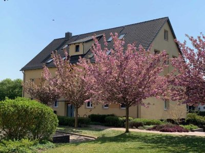 Gemütliches Single-Dachgeschoß - auf Wunsch mit Garage!