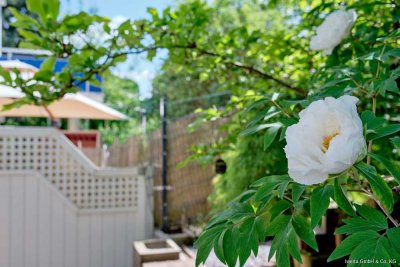 Ein Ort zum Wurzeln schlagen - Wohnen mit Garten