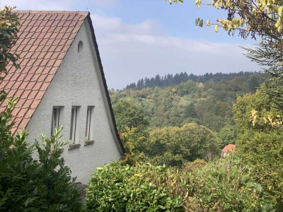 Familienfreundliches Einfamilienhaus in Heidelberg exklusive Lage, Option zur Bebauung (z.B. 4 DHH)