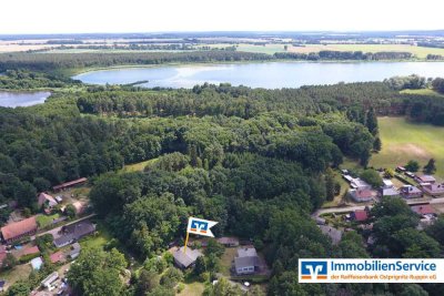 Naturnahes Wohnen: Großzügiges Anwesen mit viel Platz und Waldanschluss