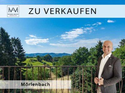Großzügige 5-Zimmer-Wohnung mit idyllischem Naturblick