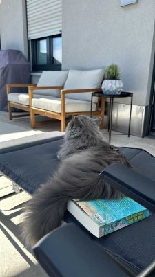 Penthouse mit Weitblick – Stilvolle Eleganz am grünen Stadtrand Münchens