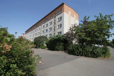 Sanierte 2- Raumwohnung nah am Zentrum und unweit der Wyhra- Auen