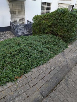 Modernes Apartment in Wiesbaden