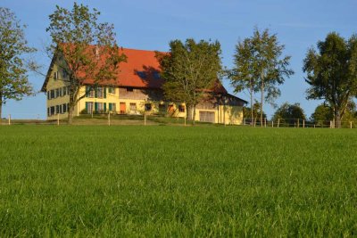 Auszeit gewünscht? Top ausgestattet, voll möbliert - Idyll in 88339 Bad Waldsee-Haisterkirch