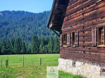 Einzigartiges Naturjuwel in den Allgäuer Alpen – anerkannte Alpe mit Wald- und Weideflächen