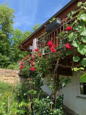 Holzhaus als moderne Berghütte