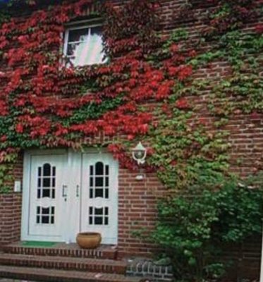 Grosszügige 4-Zimmer-Wohnung mit Balkon, EBK & Garage