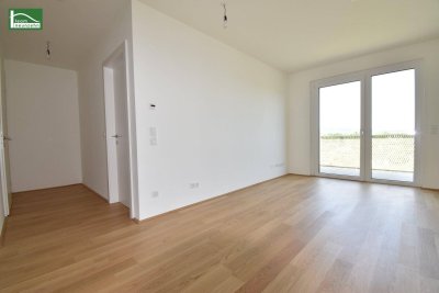 Sie werden es lieben – durchdachte Grundrisse mit Freiflächen im Grünen – Niedrig-Energie-Standard