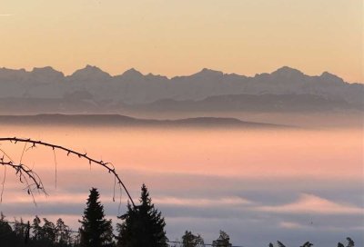 Forsthaus in Höchenschwand