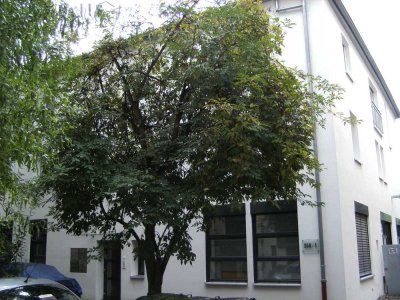 Schöne, geräumige 2-Zi-Wohnung Stuttgart-Ost