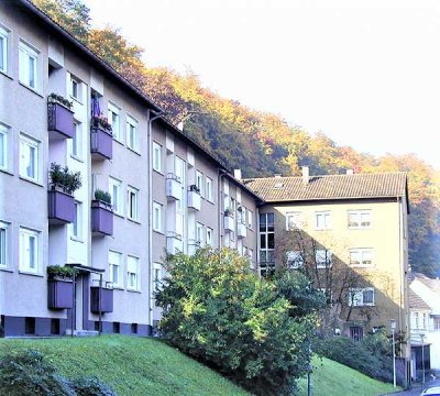 3-Zimmer Wohnung  in Kämpfelbach-Ersingen