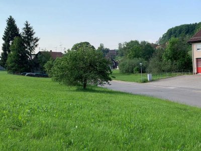 BIEN-ZENKER EVOLUTION 148 V3 mit Bauplatz