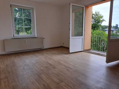Renovierte Wohnung mit Küche, Garten und Stellplatz
