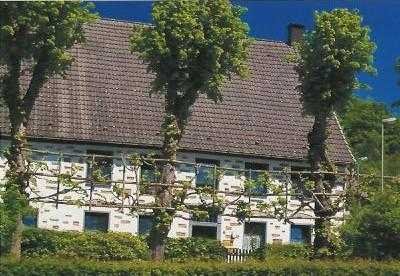 Gepflegte 2-Zimmer Wohnung im EG in Lüdenscheid