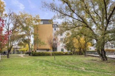 3 Zimmer-Loggia-Wohnung im 3. Liftstock