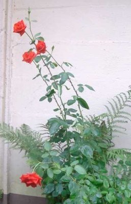 * * *Ausgewähltes und Besonderes Wohnen im Idyllischen Zschopautal* * *