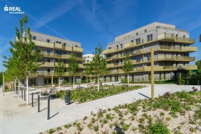 Hirschfeld - Ihr neues Zuhause im Grünen - besichtigen und einziehen