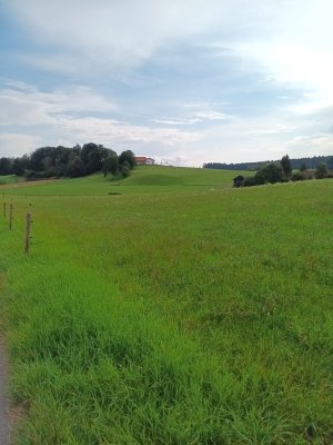 Souterrain Zimmer i.WG, Haus im Grünen m.Garten, ab01.06 Stadtnah auf dem Land