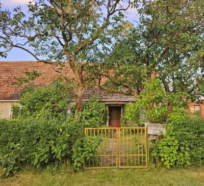 HISTORISCHES BAUERNHAUS preiswerter Bauernhof in Halenbeck-Rohlsdorf