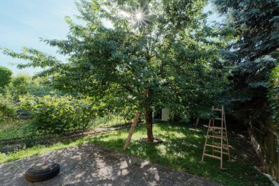 3 Zimmer Gartenwohnung im Zentrum von Deutsch Wagram