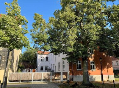 Lebendig. Zentral. Grün.Gemütliche 2-Zimmer-Wohnung in Potsdam-Babelsberg