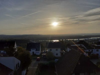 vorne Rheinblick, hinten Naturschutzgebiet. EG, Behindertengerecht, Zimmer/Bad für Pfleger