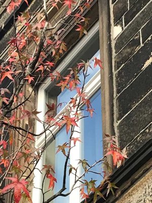 TOP sanierte Dachgeschosswohnung, mitten in Langendreer