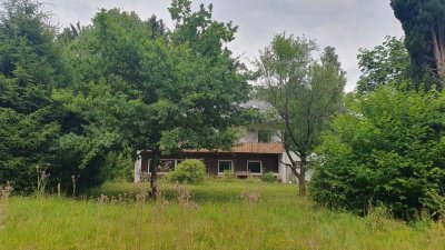 Großzügiges Einfamilienhaus mit großem Grundstück, Koppel, Waldstück & vielen Möglichkeiten – ideal
