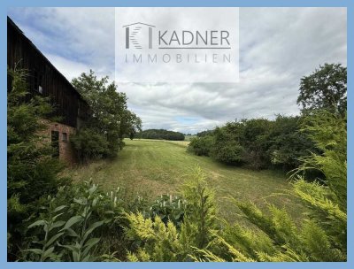 Lieblingsplatz? Modernisierungsbedürftiges EFH mit Scheune, Alleinlage