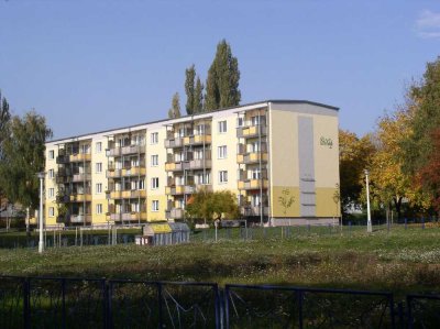 Sanierte 2 Raumwohnung mit Balkon