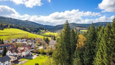 Weite statt Enge – gepflegtes Appartement mit Balkon und Aussicht im Schwarzwald