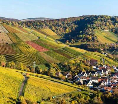 Großzügige  3,5 Zimmer Wohnung im schönen 4 Familienhaus umgeben von den malerischen Weinbergen!