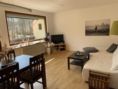 Helle, renovierte 2-Raum-Wohnung mit EBK,Balkon, Keller und Garage  in Braunlage