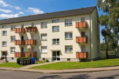 Weihnachten in der neuen Wohnung