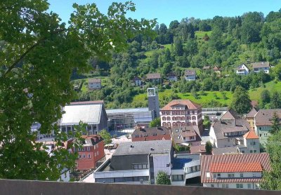 DG-Wohnung in Altensteig: 3 Zimmer, voll renoviert