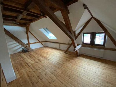 Modernisierte 3-Zimmer-Wohnung, 20 Min. von Heidelberg/Walldorf