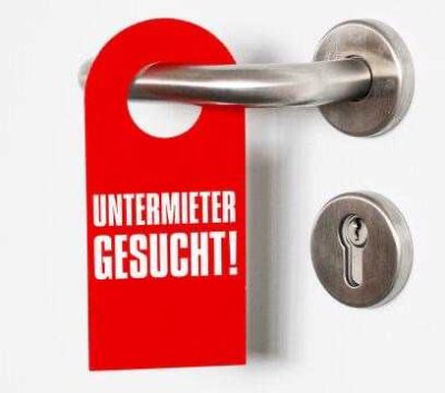 Befrister Untermieter gesucht