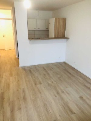 NEU Sanierte 1 Zi-Whg mit Balkon in Oberrad zu vermieten