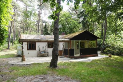Gemütliches Waldhaus in der Natur